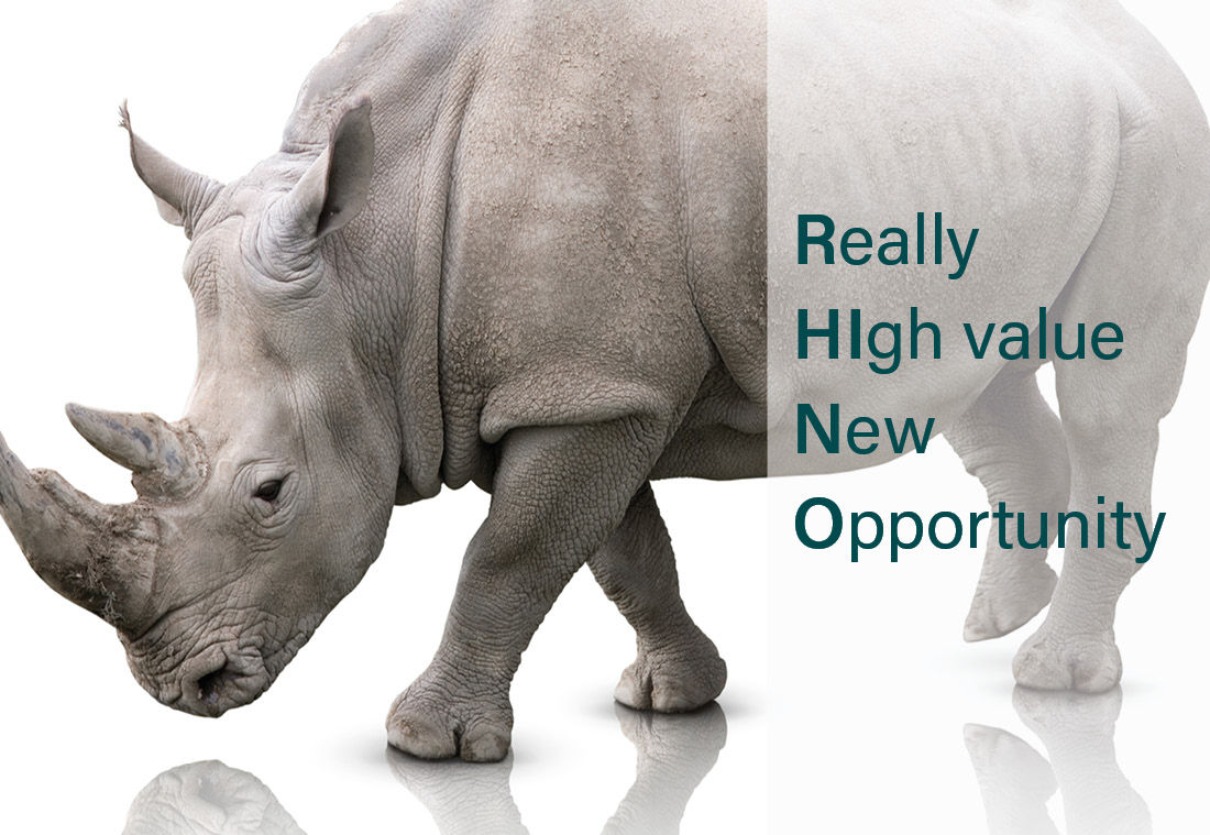 Taming the RHINO | Product Focus
