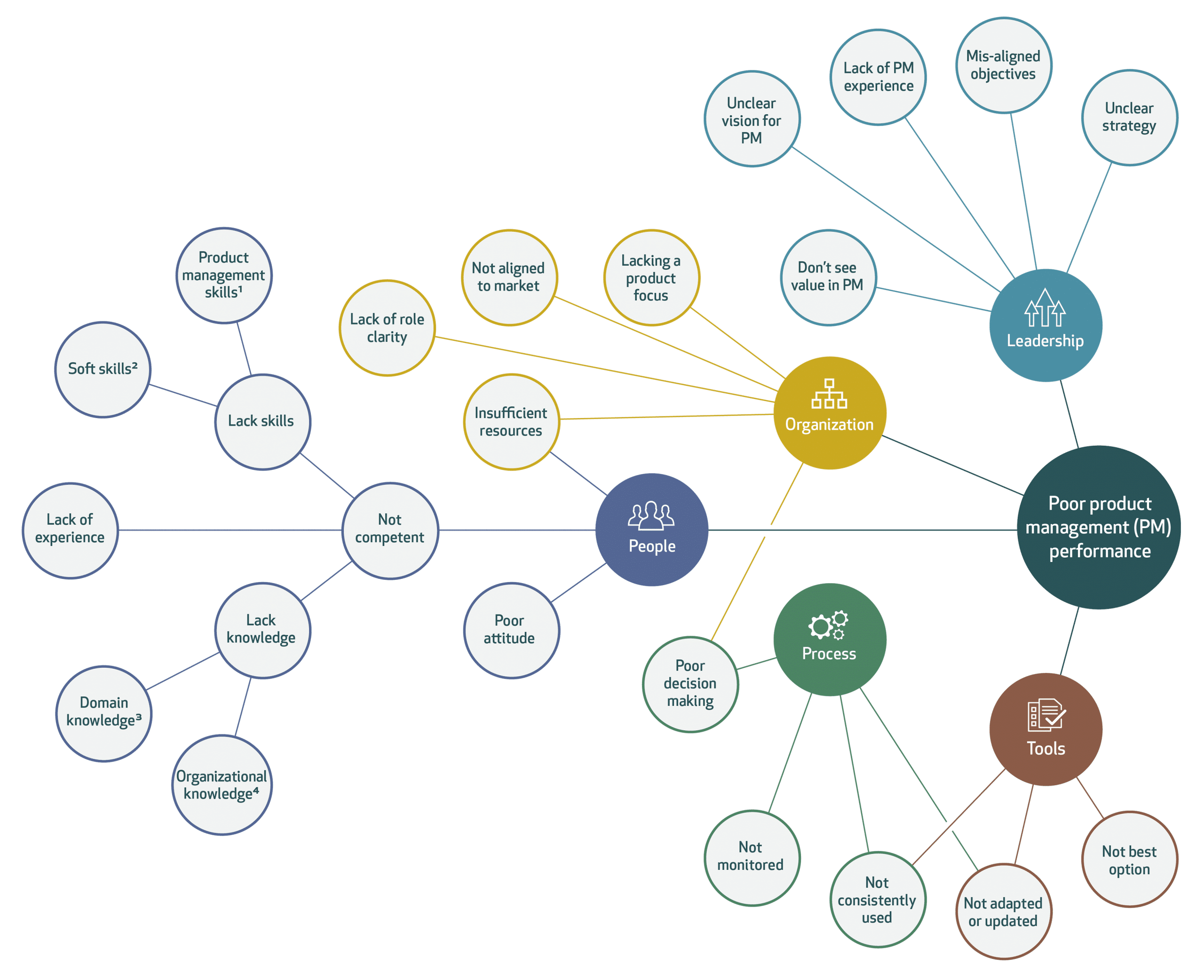 Product Management Maturity Model fishbone diagram