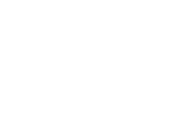 Realex Payments Logo