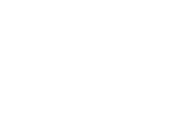 Roma Technology Logo